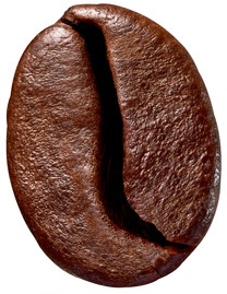 Zrno