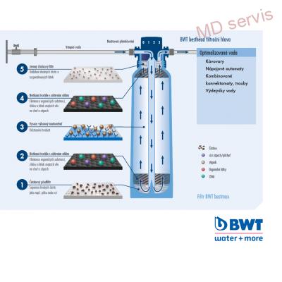 BWT bestmax XL